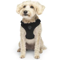 Easy-On Step-In Black Dog Harness
