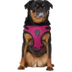 Easy-On Step-In Plum Dog Harness
