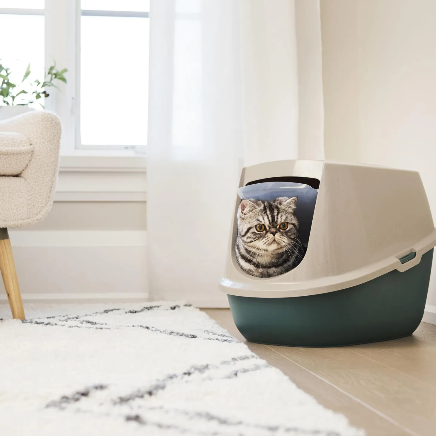 Eco-Friendly Green Hooded Litter Box