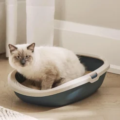 Eco-Friendly Green Litter Pan