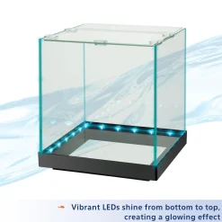 Edgelit Rimless Glass Cube Aquarium