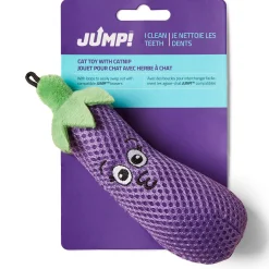 Eggplant Dental Cat Toy