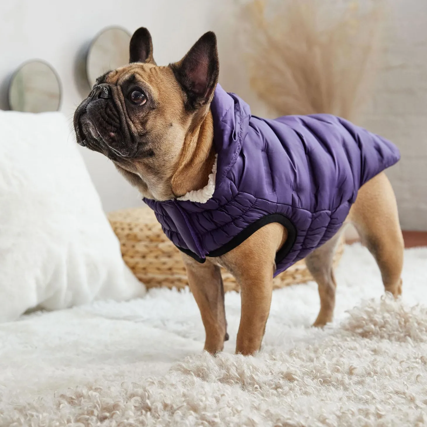 Elasto-Fit Cloud Purple Parka