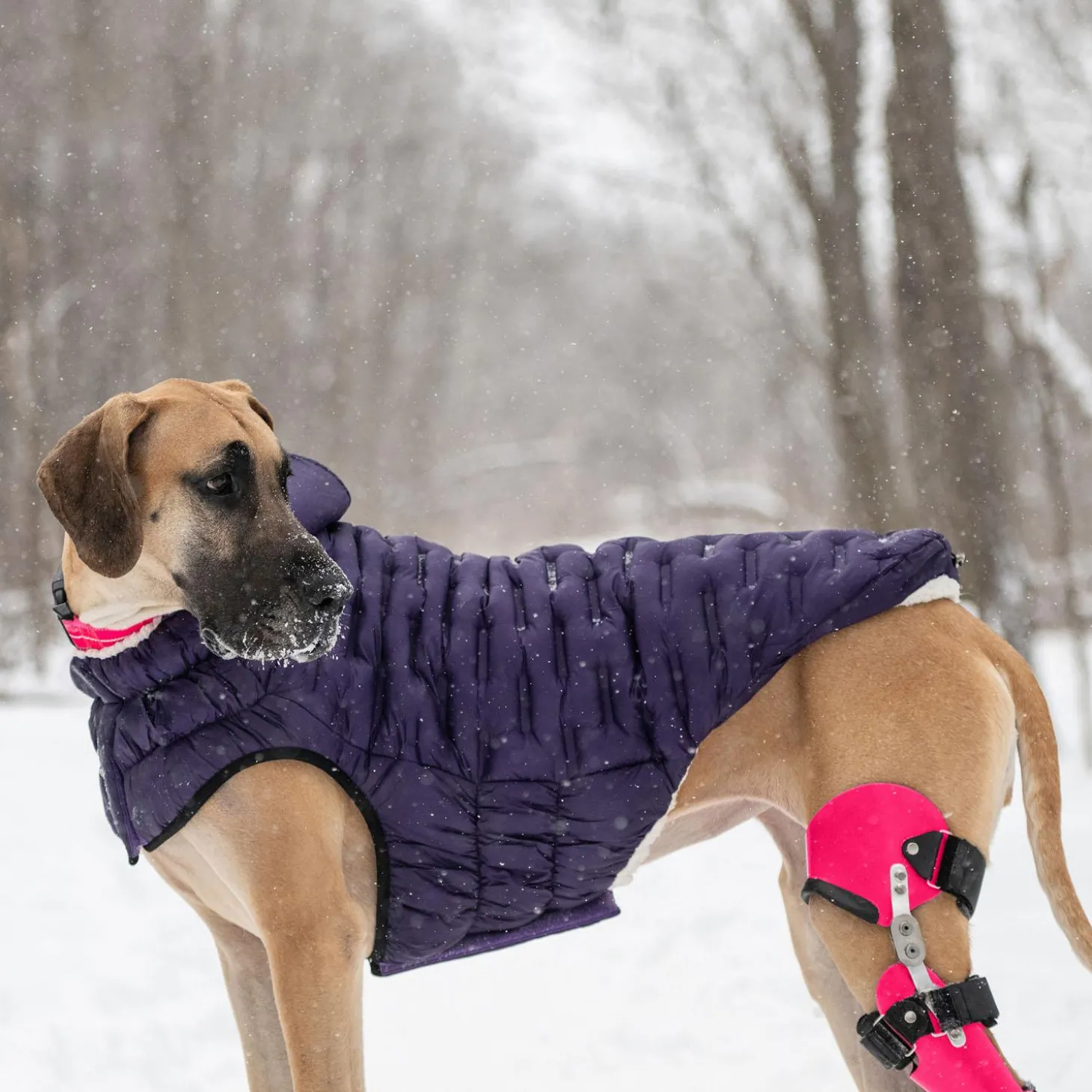 Elasto-Fit Cloud Purple Parka