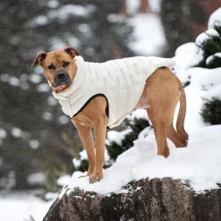 Elasto-Fit Cloud Sand Parka