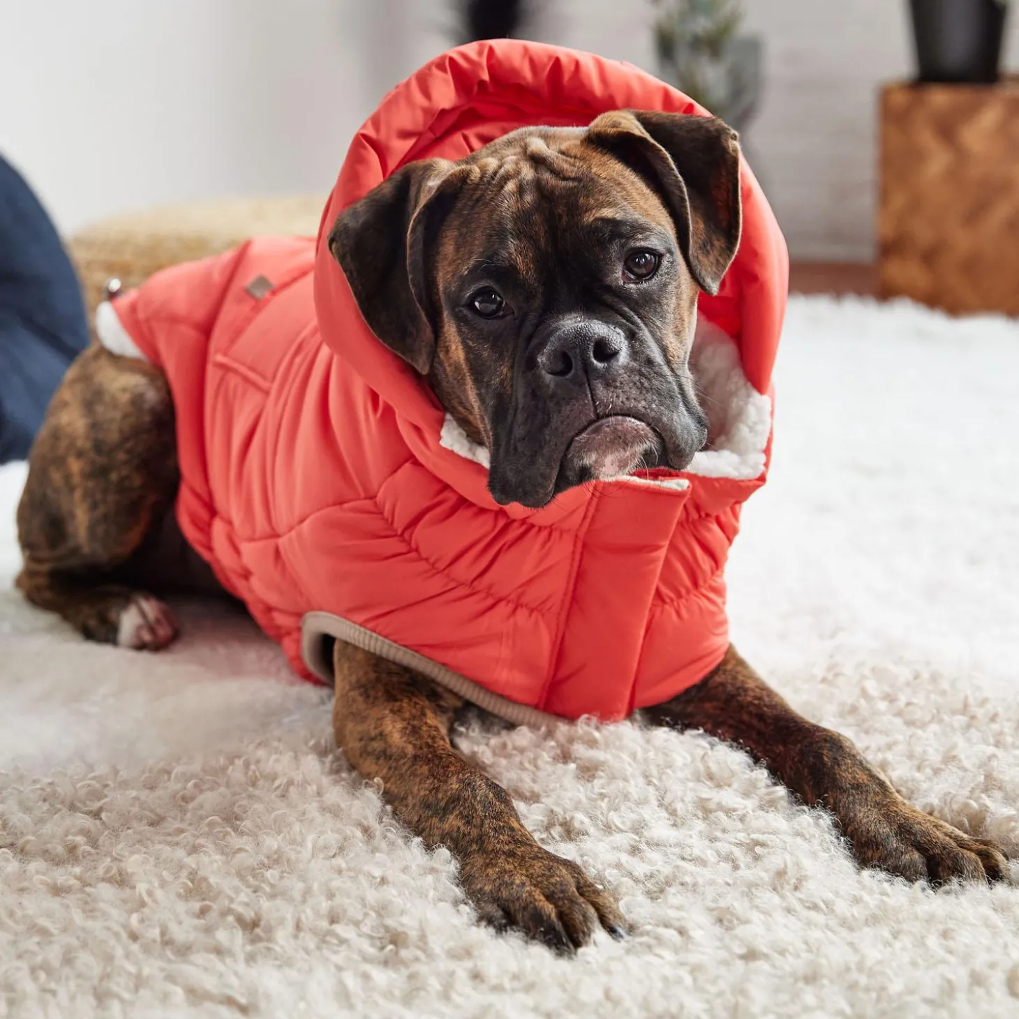 Elasto-Fit Nordic Cayenne Parka