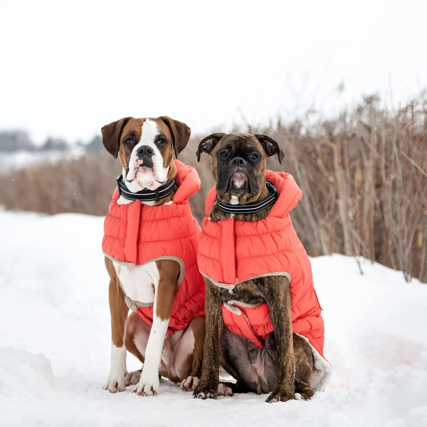 Elasto-Fit Nordic Cayenne Parka