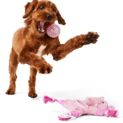 Elephant Pink Rope with Ball Dog Toy