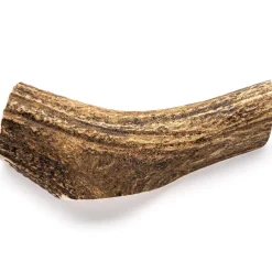 Enhanced Antler Chew - Maple Bacon