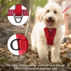 Enhanced Strength Tru-Fit Smart Black Dog Harness