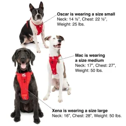 Enhanced Strength Tru-Fit Smart Black Dog Harness