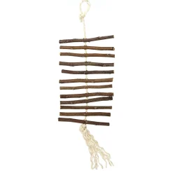 Enriched Life Apple Stick Dangly Small Animal Toy