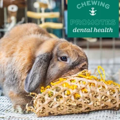 Enriched Life Apple Stick Dangly Small Animal Toy