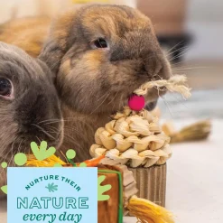 Enriched Life Celebration Cupcake Small Animal Toy