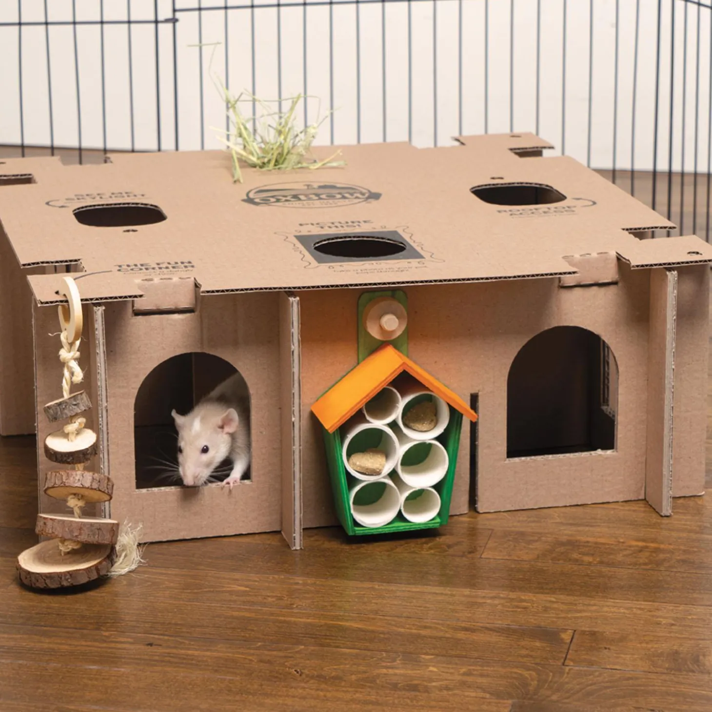 Enriched Life Customizable Play Place