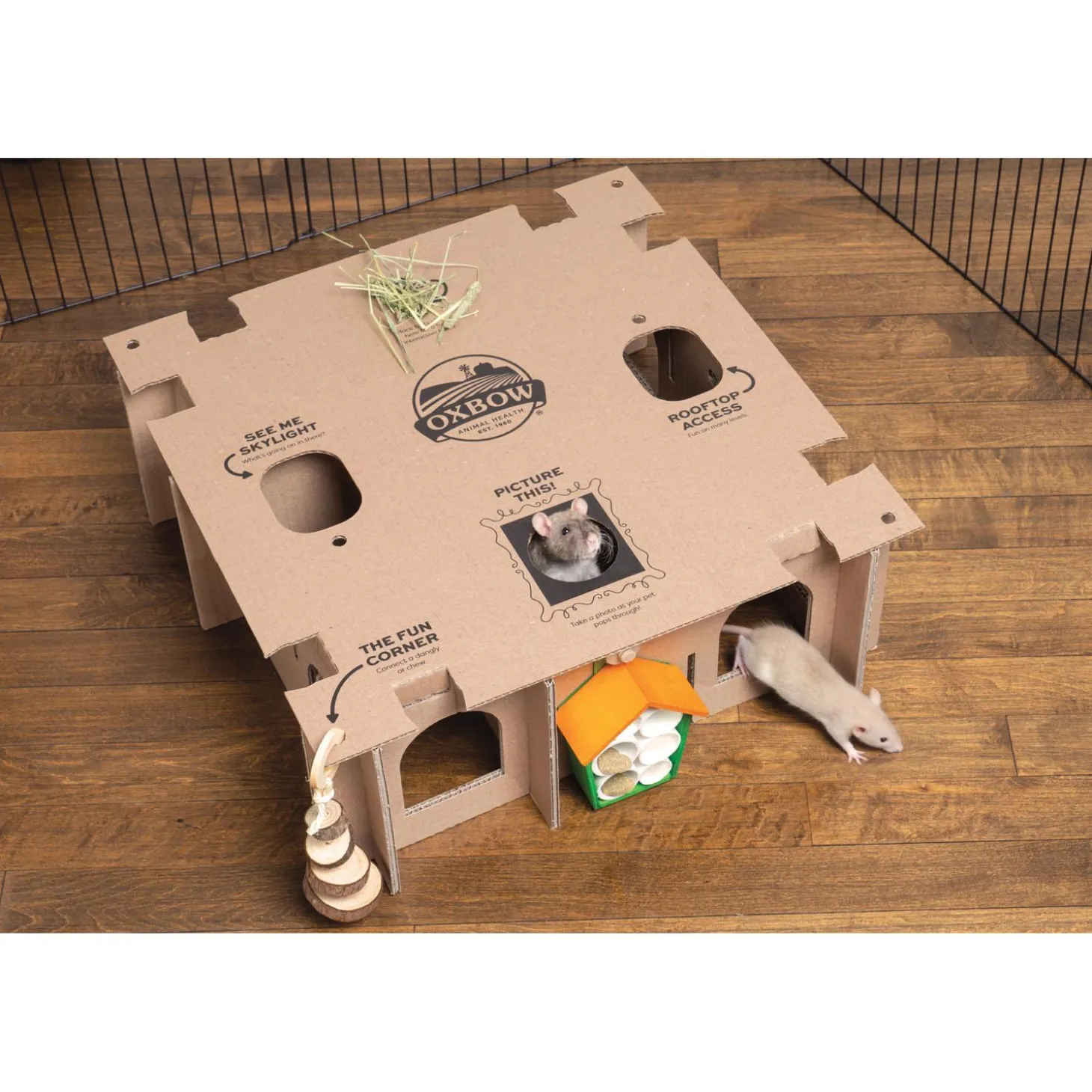 Enriched Life Customizable Play Place