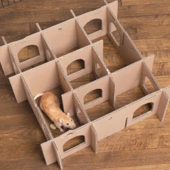 Enriched Life Customizable Play Place