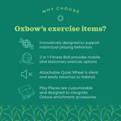 Enriched Life Customizable Play Place