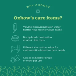 Enriched Life Forage Ivory Small Animal Bowl