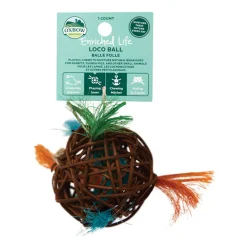 Enriched Life Loco Ball Small Animal Toy