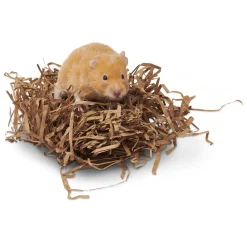 Enriched Life Nesting Disks