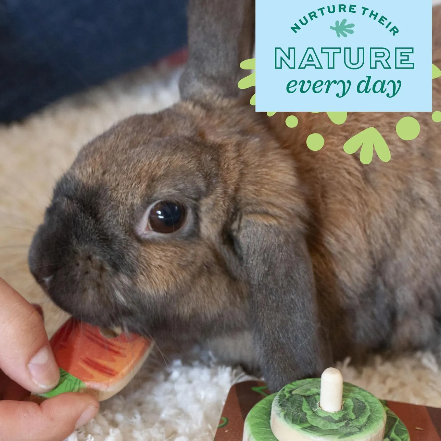 Enriched Life Play Garden Small Animal Puzzle Toy