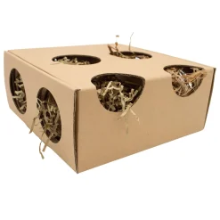 Enriched Life Small Animal Burrow Box
