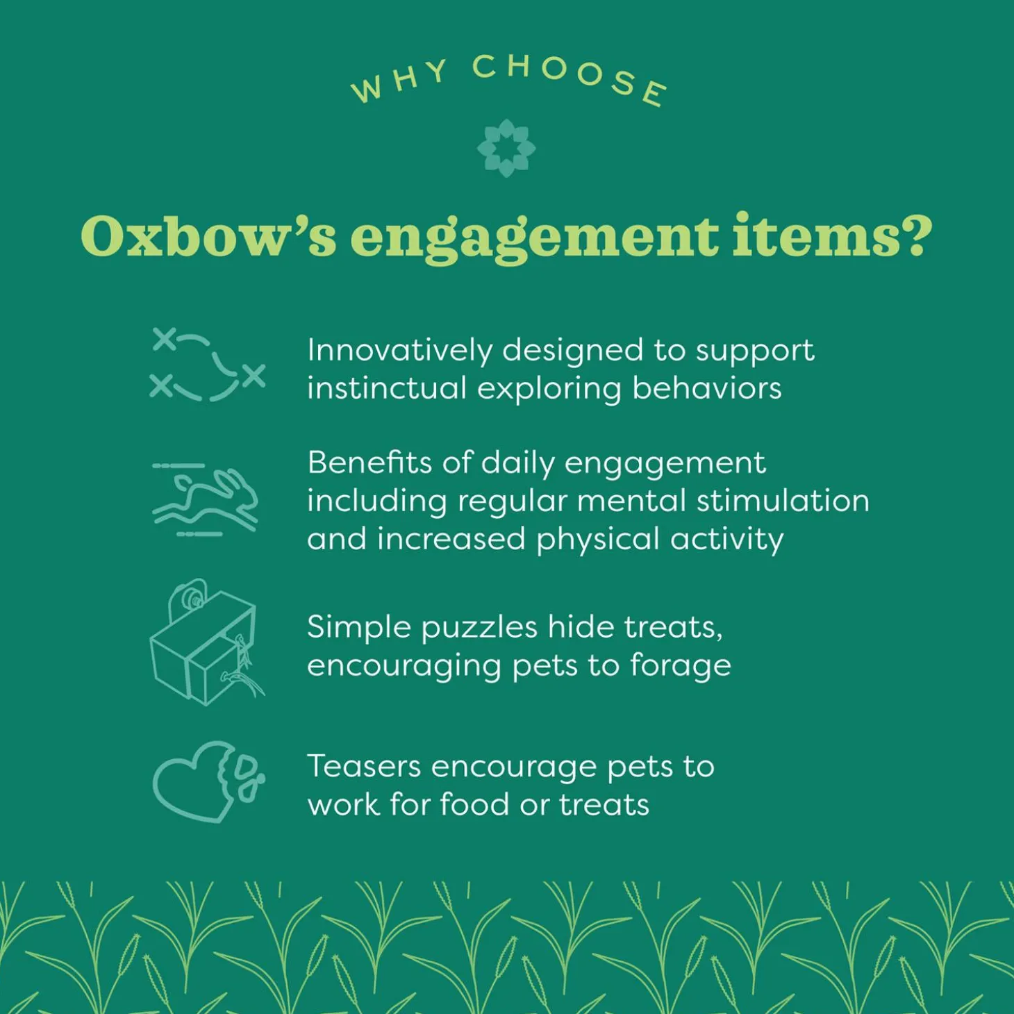 Enriched Life Small Animal Burrow Box