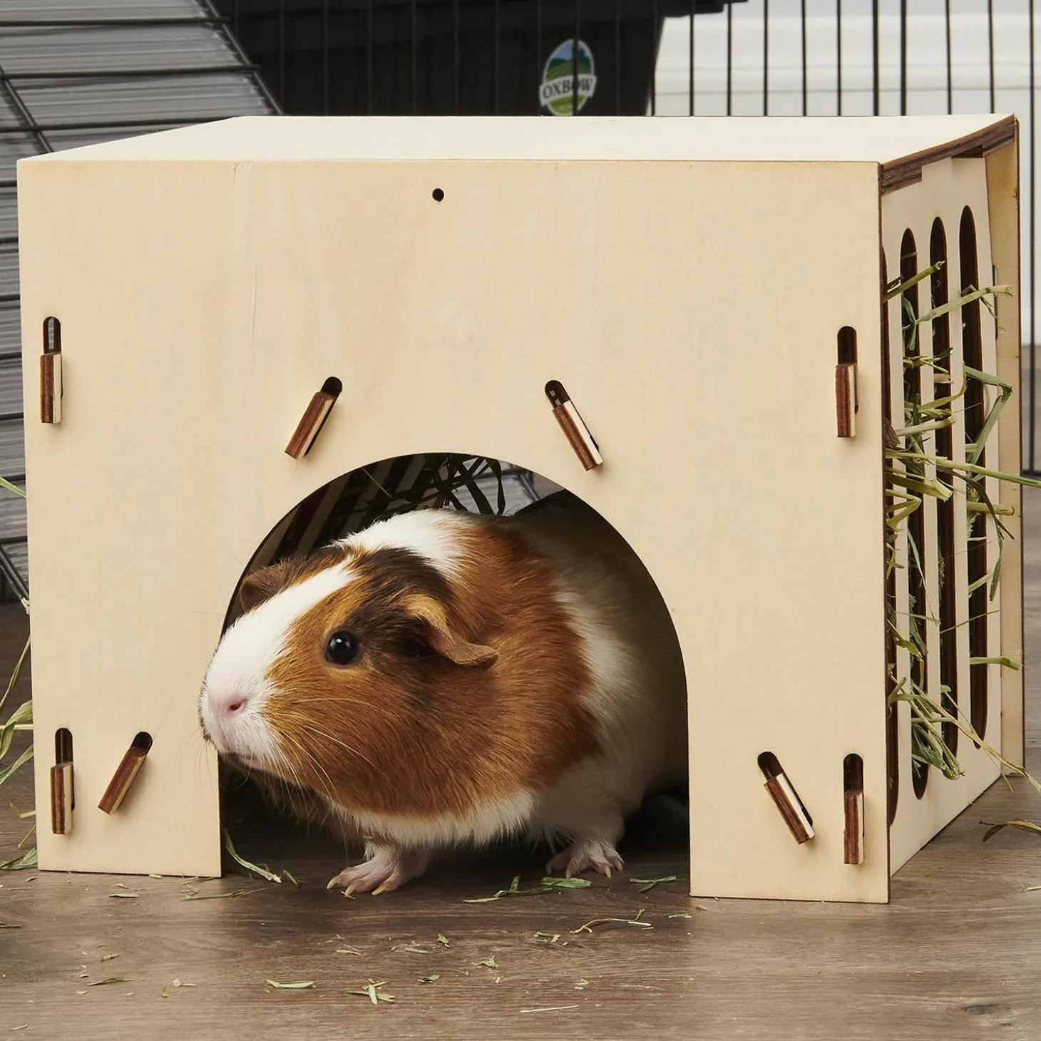 Enriched Life Small Animal Hay House
