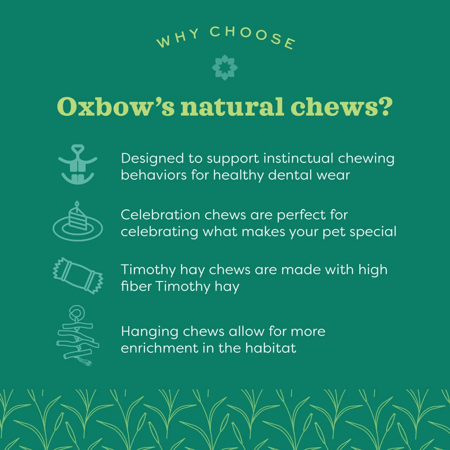 Enriched Life Timothy Carrot Lollipop Small Animal Toy