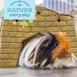 Enriched Life Timothy Hut Small Animal Hideout