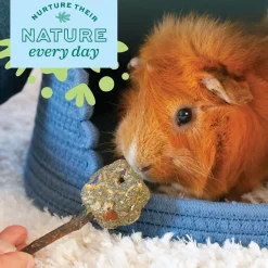 Enriched Life Timothy Orange Slice Small Animal Toy