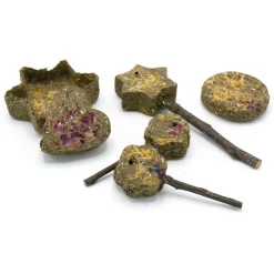 Enriched Life Timothy Party Pack