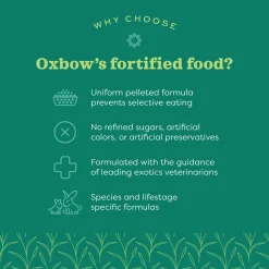 Essentials Adult Guinea Pig Food