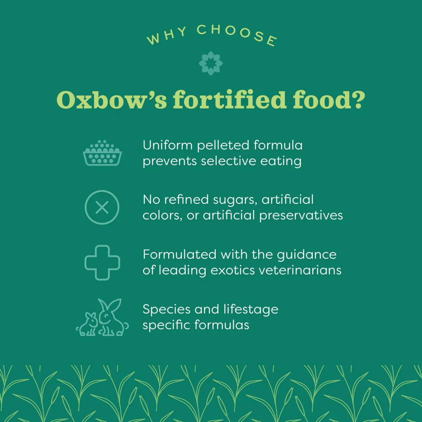 Essentials Adult Guinea Pig Food