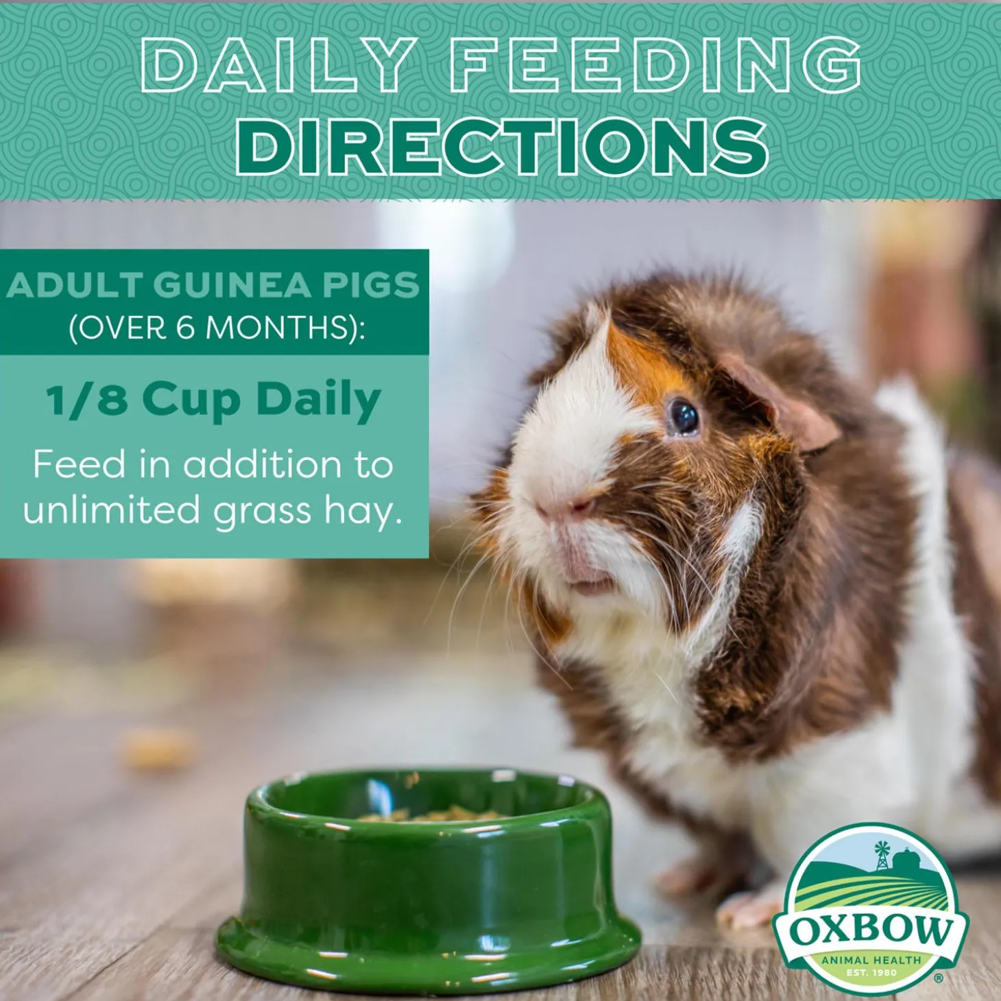 Essentials Adult Guinea Pig Food