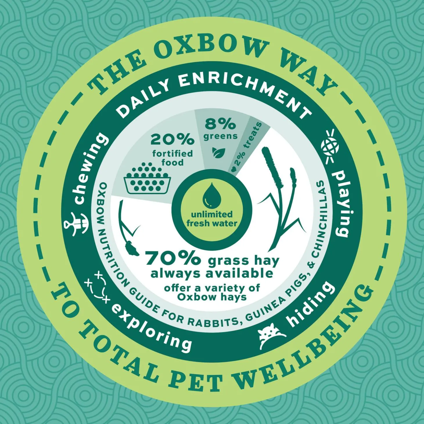 Essentials Adult Guinea Pig Food