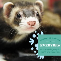 Essentials Ferret Food