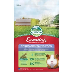 Essentials Young Guinea Pig