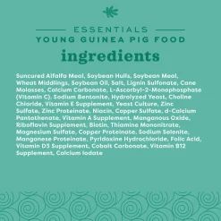 Essentials Young Guinea Pig