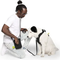 Everything Dog Walking Black Bag