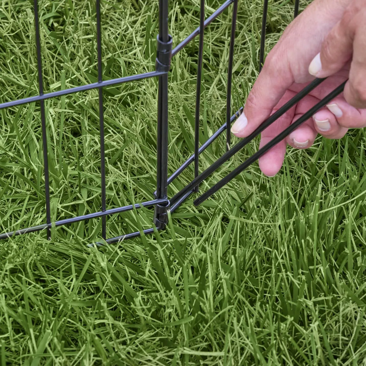 Exercise Pen with Door