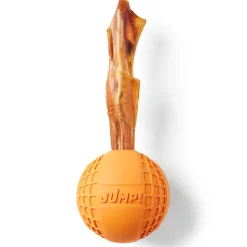 Fetch Ball Dog Toy