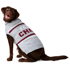 Fetch Champ Grey Sweater