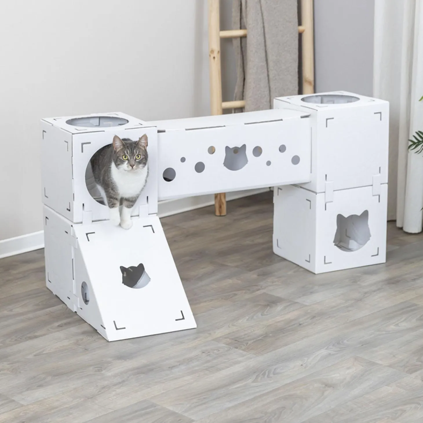 Finca Felice Cat House