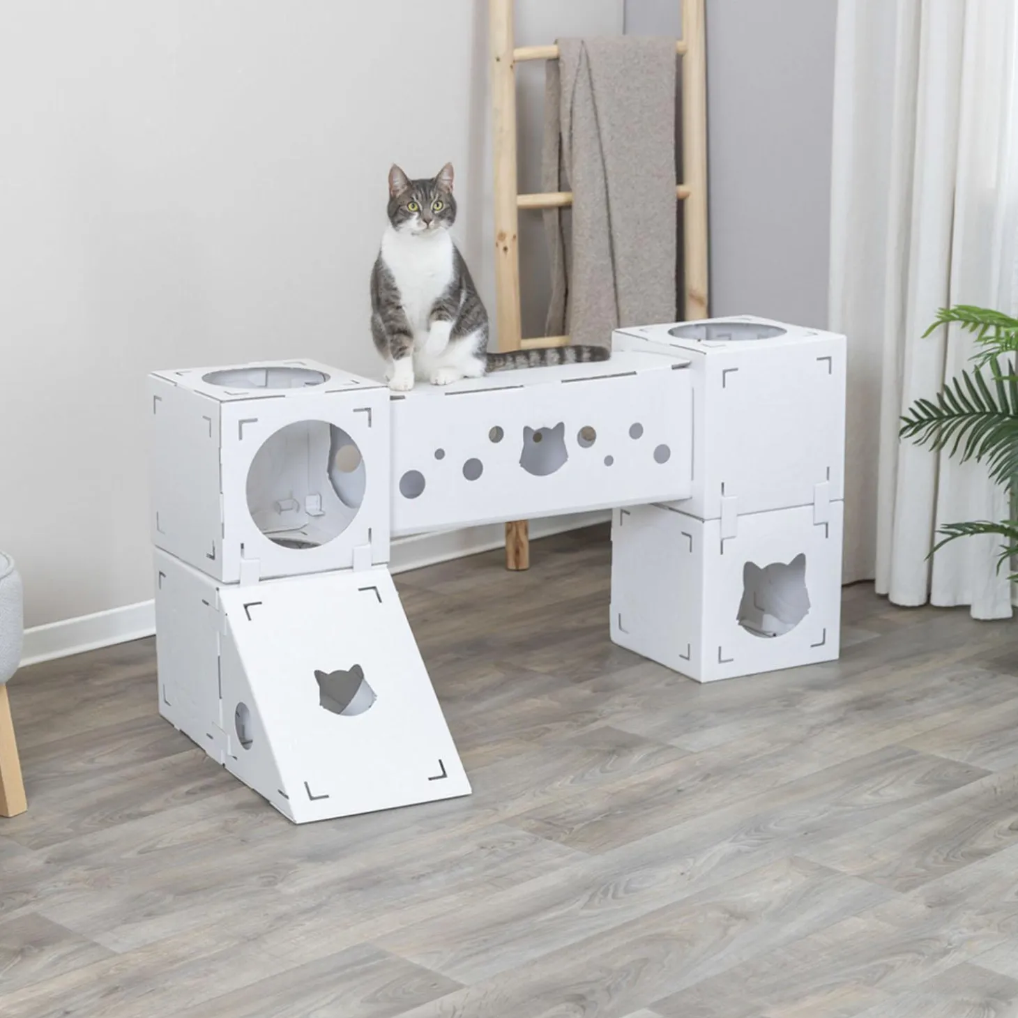 Finca Felice Cat House