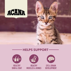 First Feast Kitten Cat Food