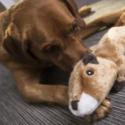 Flatz Squirrel Dog Toy