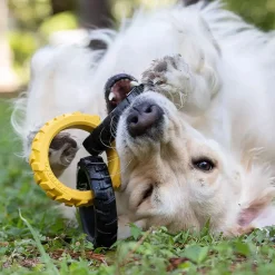 Flex Tread 3-Ring Chew Tug Dog Toy