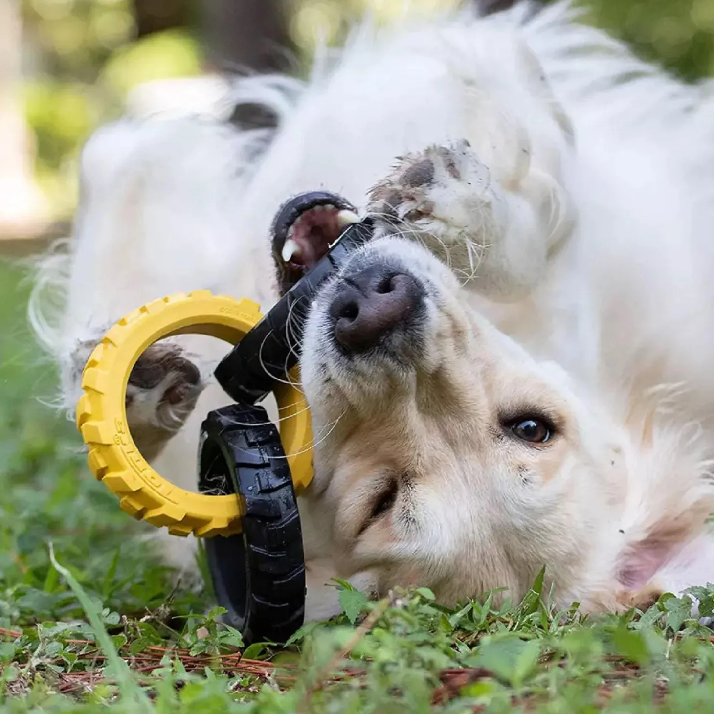 Flex Tread 3-Ring Chew Tug Dog Toy